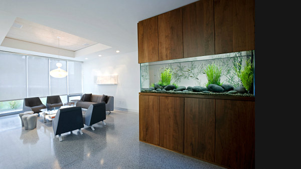 企業への水槽導入事例集。オフィスに癒しの空間をプロデュース。