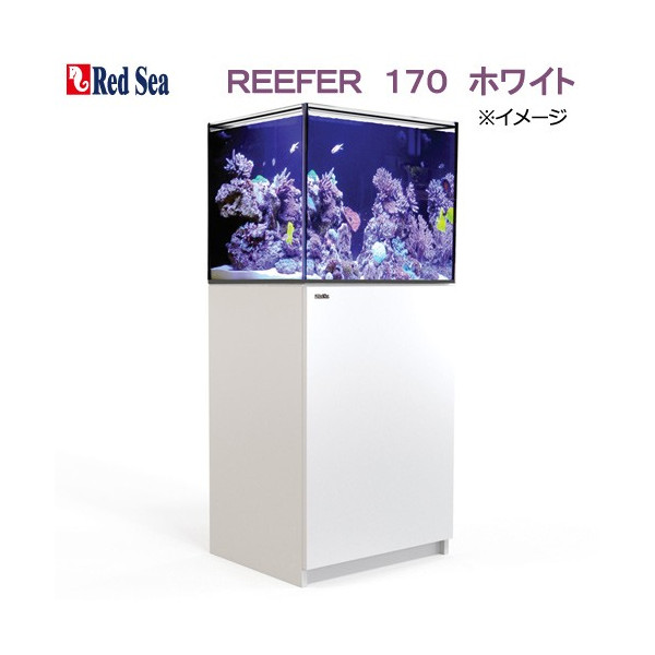REEFER 170（リーファー170）オーバーフロー水槽の通販 海水魚がいる癒しの空間【アクアリウムゾーン】