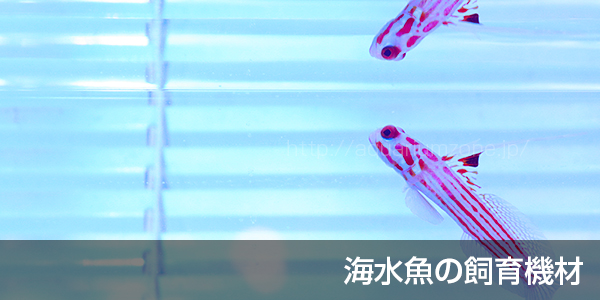 海水魚の飼育機材