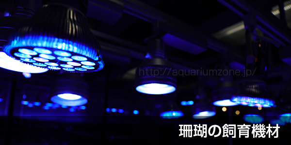 珊瑚の飼育機材